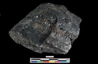 藏品(煙煤)的圖片